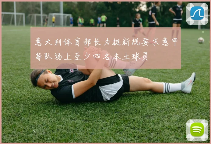 意大利体育部长力挺新规要求意甲每队场上至少四名本土球员